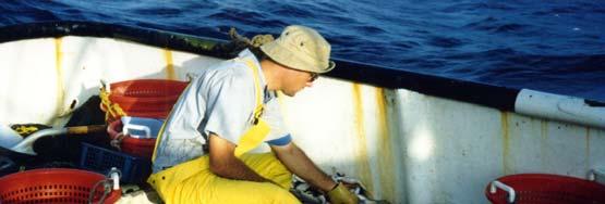 Shrimp Trawl Bycatch Observer