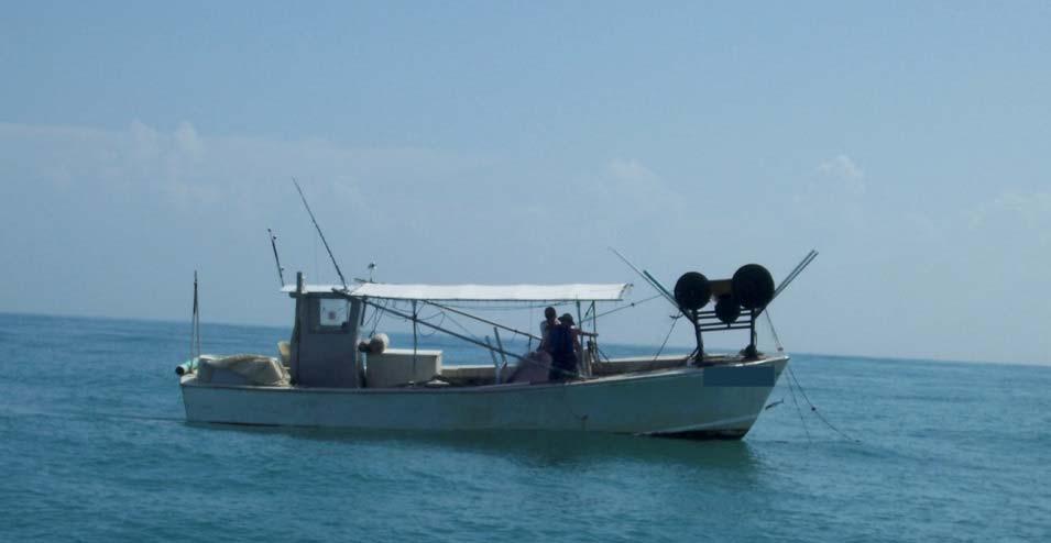 Southeast Gillnet Fishery Observer Program Administered by SEFSC Panama City Laboratory Relatively small boats: 25 40 ft.