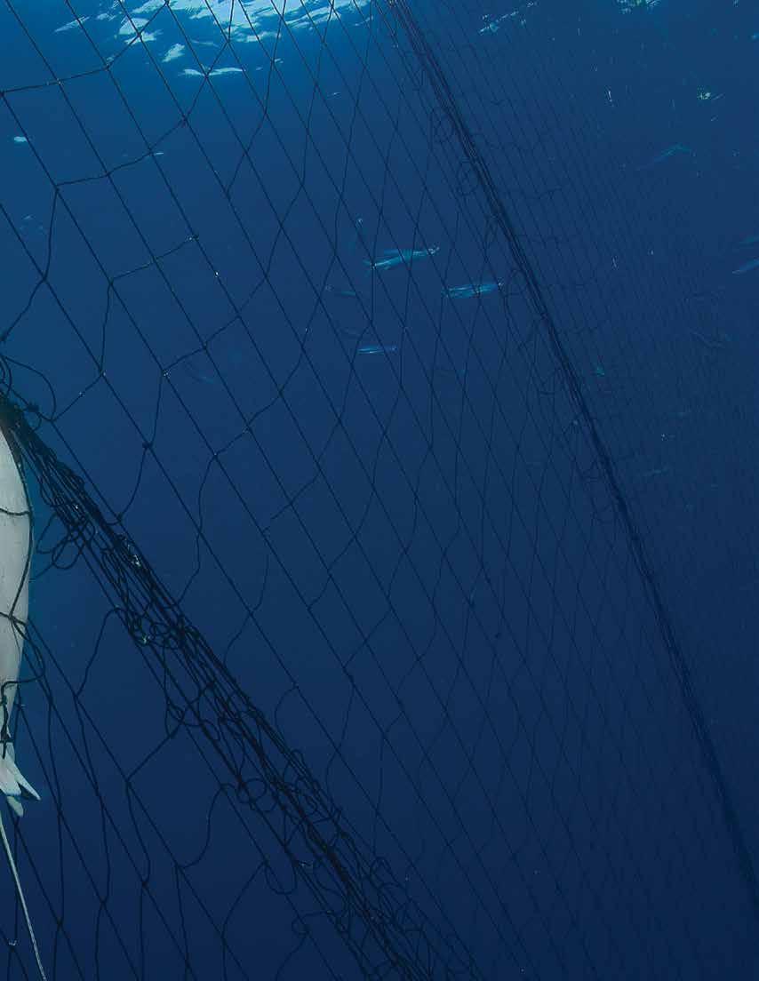 EXECUTIVE SUMMARY BYCATCH, OR THE CATCH OF NON-TARGET FISH AND OCEAN WILDLIFE, IS ONE OF THE LARGEST THREATS TO MAINTAINING HEALTHY FISH POPULATIONS AND MARINE ECOSYSTEMS AROUND THE WORLD.