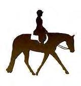 New England Pinto Horse Association Charter Super Horse Competition ~~~~~~~ Rules For
