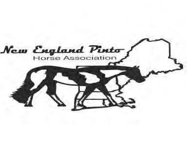 NEW ENGLAND PINTO HORSE ASSOCIATION 5th ANNUAL BBQ SATURDAY JULY 14, 2018 (AFTER CLASSES) PLEASE JOIN US FOR A NIGHT OF FUN & GET TO KNOW YOUR PINTO FAMILY!