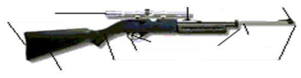 k. Using a.22 caliber rimfire rifle and shooting from a bench rest or supported prone position at 50 feet, fire five groups (three shots per group) that can be covered by a quarter.
