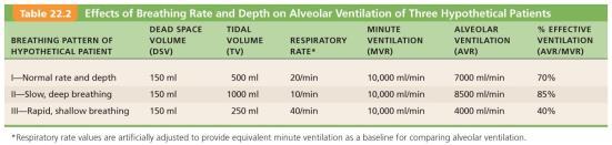 Dead Space Pulmonary Function Tests Anatomical dead space No contribution to gas exchange Air remaining in passageways; ~150 ml Alveolar dead space non-functional alveoli due to collapse or