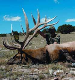 NEW MEXICO SPECIAL BIG GAME ENHANCEMENT PACKAGE Dates: Deer: Sept. 1, 2018 Jan. 31, 2019 Elk: Sept. 1, 2018 Jan. 31, 2019 Oryx: Apr. 1, 2018 Mar. 31, 2019 Ibex: Apr. 1, 2018 Mar. 31, 2019 Pronghorn: Aug.