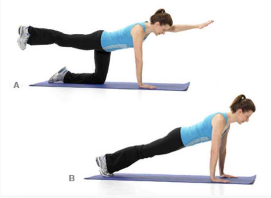 Plank Pose: (image A) 1) Come to all fours with wrists under shoulders, knees positioned directly under your hips.