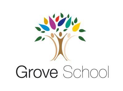 GROVE SCHOOL BIRMINGHAM CITY COUNCIL E-SAFETY POLICY FOR SCHOOLS 1. Intrductin 1.