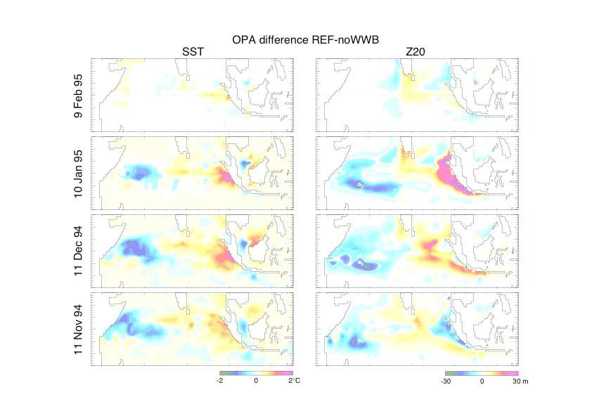 Role of an MJO event in the