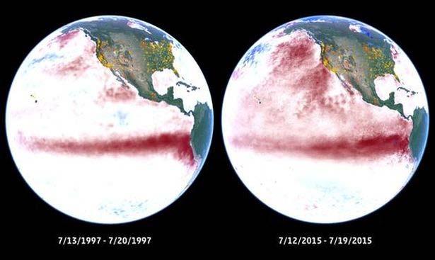 The Bottom Line The blob has caused elevated SSTs across NE Pacific.