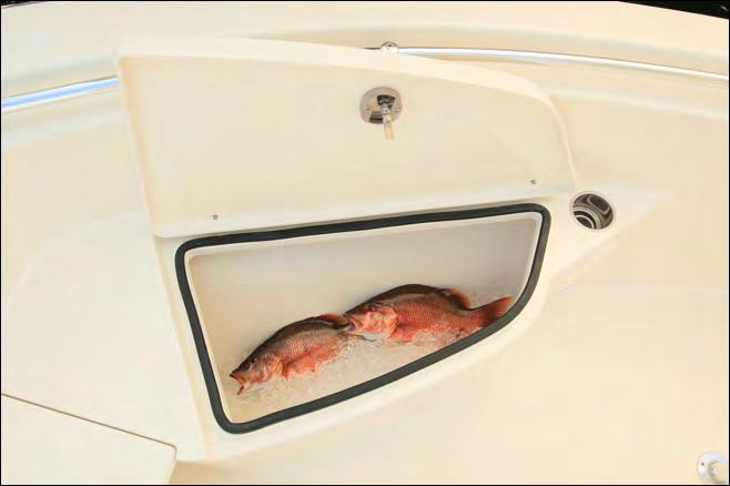 13 ROD LOCKERS & FISH Rod Lockers The 201 center console model comes standard with fiberglass rod boxes on