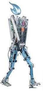 The robots cannot realize push-off, running and jumping by ankle actuation.