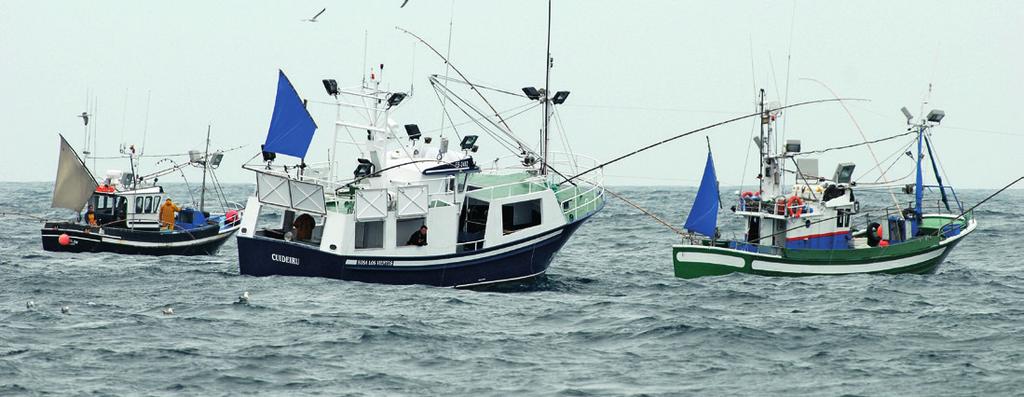 Healthy fisheries are good for business How better management of European fisheries will create jobs and improve the economy SEPTEMBER 2017 The fishing industry provides employment for 56.