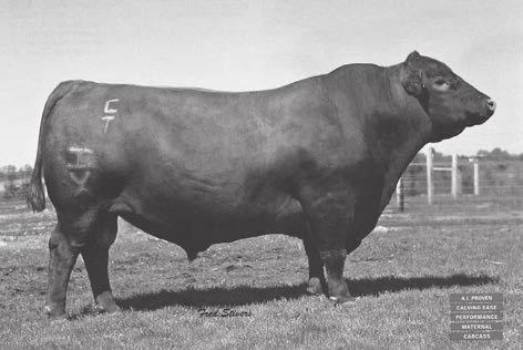 4 WW +50 YW +86 MILK +32 STAY +9 ig Horn Z150 is a sire we using in our AI program. arenthsen ullinger purchased him from Feddes Red Angus.
