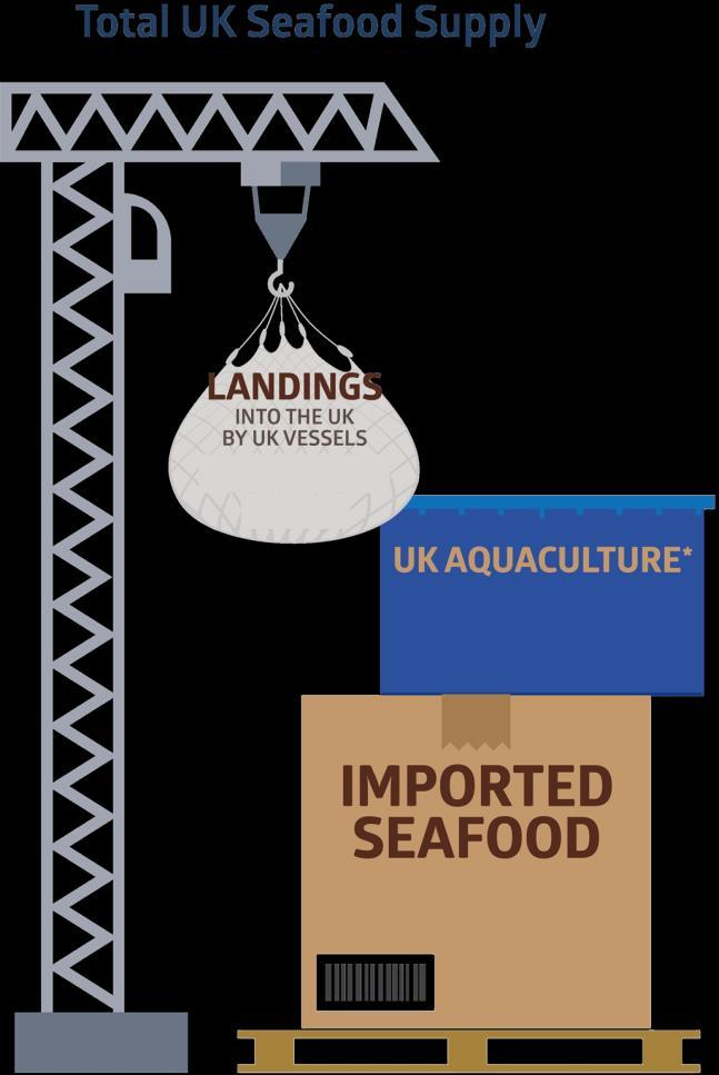 Total UK Seafood Supply: 4.62bn (+1.4%), 1,346,687t (-2.9%), 3.