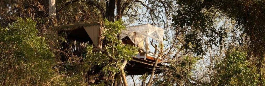 EHO BEHO Day 1 to 5 Beho Beho Selous Game Reserve The Treehouse The Treehouse at Beho Beho is no ordinary sleep out, this tree house is perched alongside and within a giant ancient leadwood tree