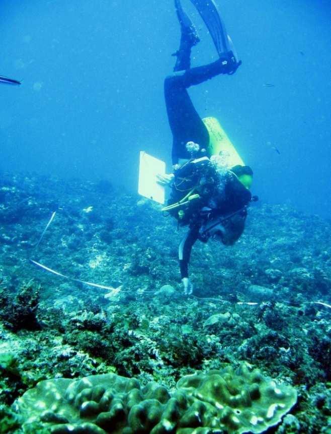 Science Training Research Assistants will receive lectures on the following: Introduction to ReefDoctor s Research, Conservation and Management Programmes. Introduction to Coral Reefs.
