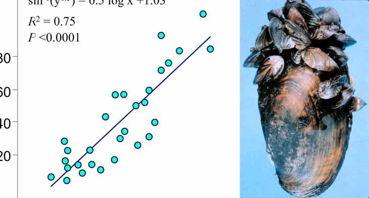 Native mussel mortality versus zebra mussel fouling in North America % Recent mortality 100 80 60 40 20 sin -1 (y 0.5 ) = 0.