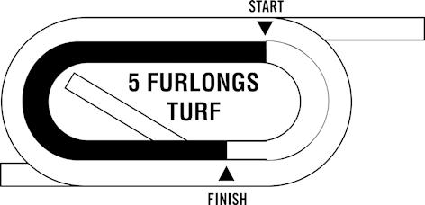 $1 Exacta / $ Quinella / 0 Cent Trifecta $ Rolling Double / $1 Rolling Pick Three $1 Superfecta (-cent min.) / $ Pick Six Starts/$ WPS Parlay rd Approx.