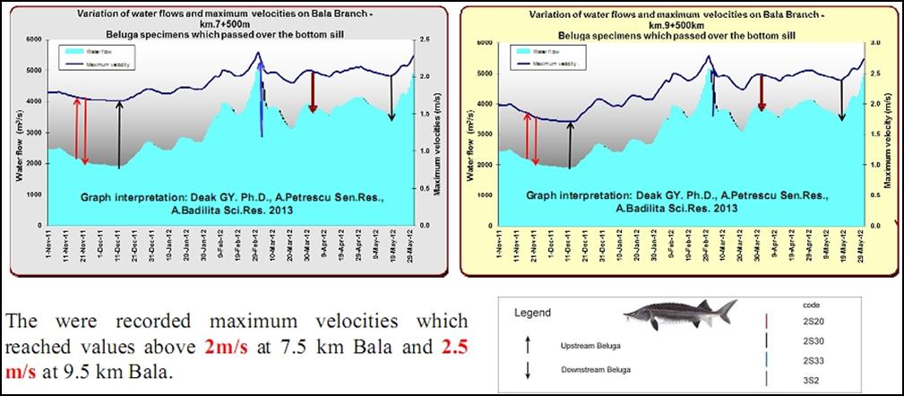 B2. Bottom Flow Velocity 1 - Bala km 7.5 & km 9.5 do not correspond to the sill (Bala Km 10 10.