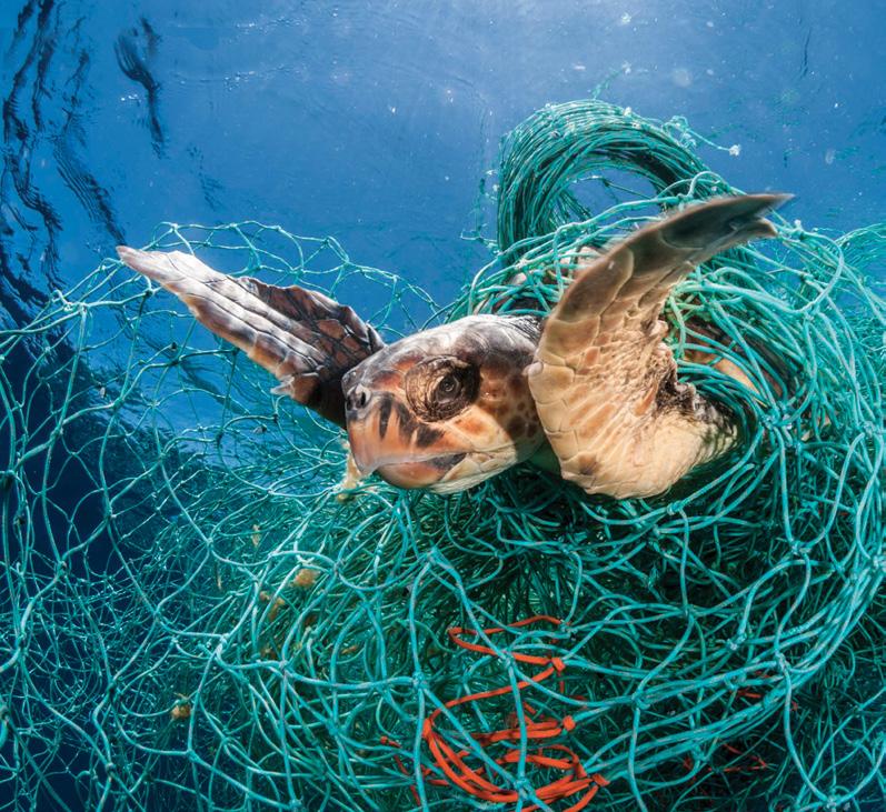 Ghosts beneath the waves Ghost gear s catastrophic impact