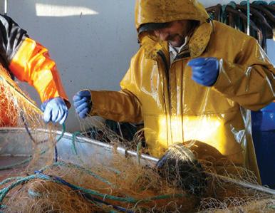 Section 2 Management and systems In relation to how action on ghost gear is incorporated into companies management practices and systems, just four companies scored maximum points on at least one