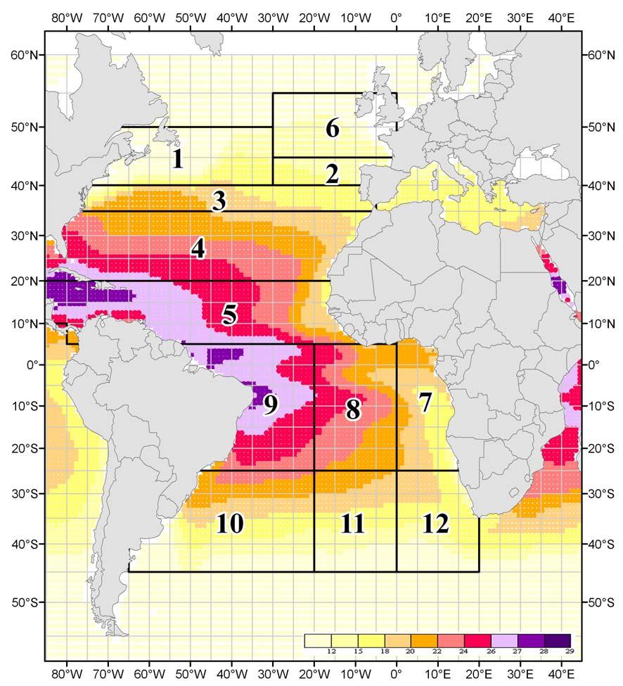 Figure 1. Geographical area stratification used for the GLM runs of shortfin mako.