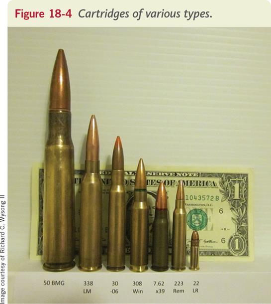 Bullets and Cartridges The cartridge cntains: Primer pwder Gunpwder The bullet The casing material