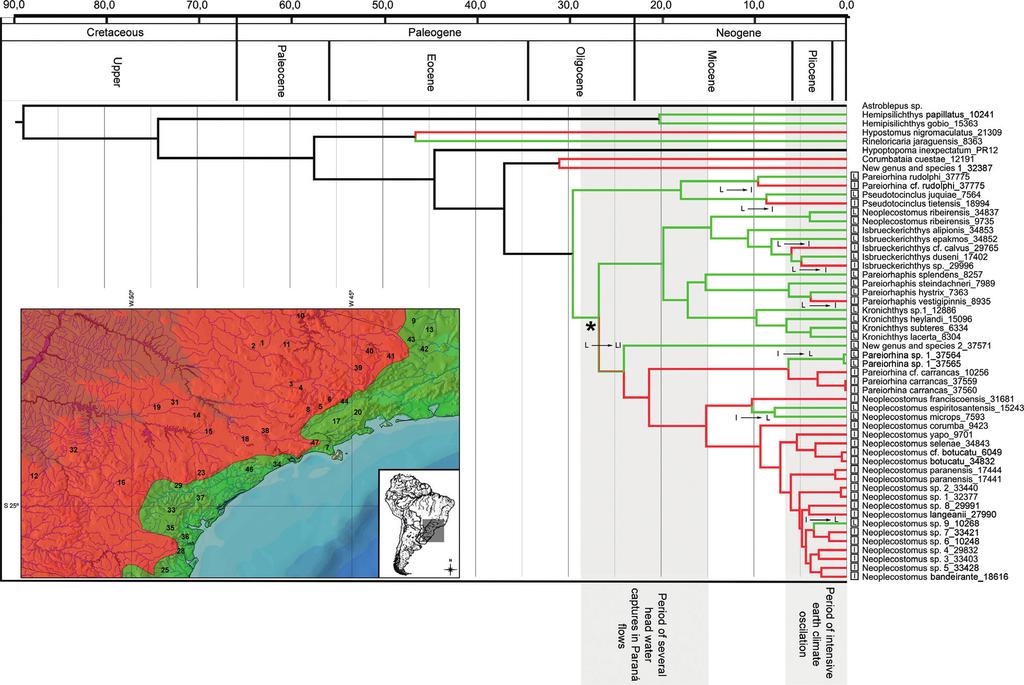 Biogeography of Catfish Neoplecostominae F. F. Roxo et al. Figure 3. The red coloration in the figure indicate the interior drainages and green the littoral drainages in southeastern of Brazil.