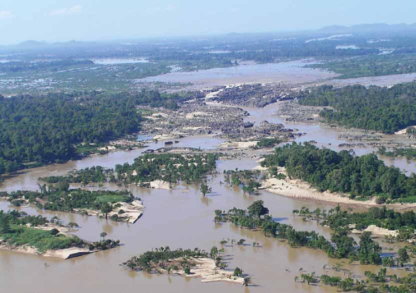 end of Sadam Island (mainstream Mekong River, Southern Lao PDR) were monitored between 1993 and 1999.