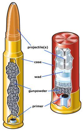 Shotgun shells are different from rifle and pistol cartridges.