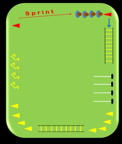 In groups children take turns to complete the SAQ circuit. First, children can show their own individual ideas to complete each set of equipment.