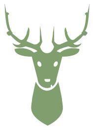 ST HUBERTUS HUNTING TOURS HUNTING SEASON 2018 3000 HECTARES IN WESTERN BOHEMIA JAPANESE DEER, RED DEER, MOUFLON, WILD BOARS, FALLOW DEER Japanese Sika Deer in this hunting area during winter