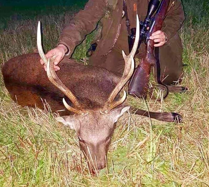 4 HUNTING DAYS 5 NIGHTS IN HOTEL - Administration Fee - Hunting guide - Czech hunting license and insurance - 5 nights in Hotel with breakfast single room Total amount per hunter: 450 Rifle Rental: