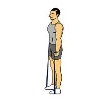 Bicep Curl Bicep Curl 1) Stand with feet shoulder width apart, knees slightly bent, and at a staggered stance. 2) Step onto middle of tubing with back foot or both feet.