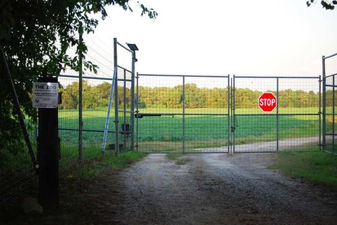 The Fence In order to manage the herd properly and make sure that the bucks grow to maturity, the decision was made to enclose the property with a game fence. In 2005, Mr.