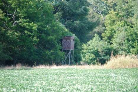 There are 40 food plots of varying sizes around the property that total about 75 acres.