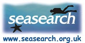 Seasearch Wales Crawfish