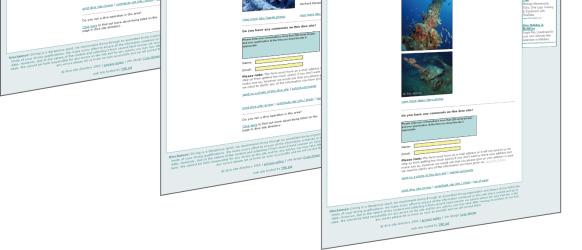 LISTINGS 6 KIND WORDS & WINNING CAMPAIGNS 8 2009 Dive Site