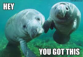Wave Sample Problems A manatee can typically hear sounds with frequencies up to 32,000 Hz.