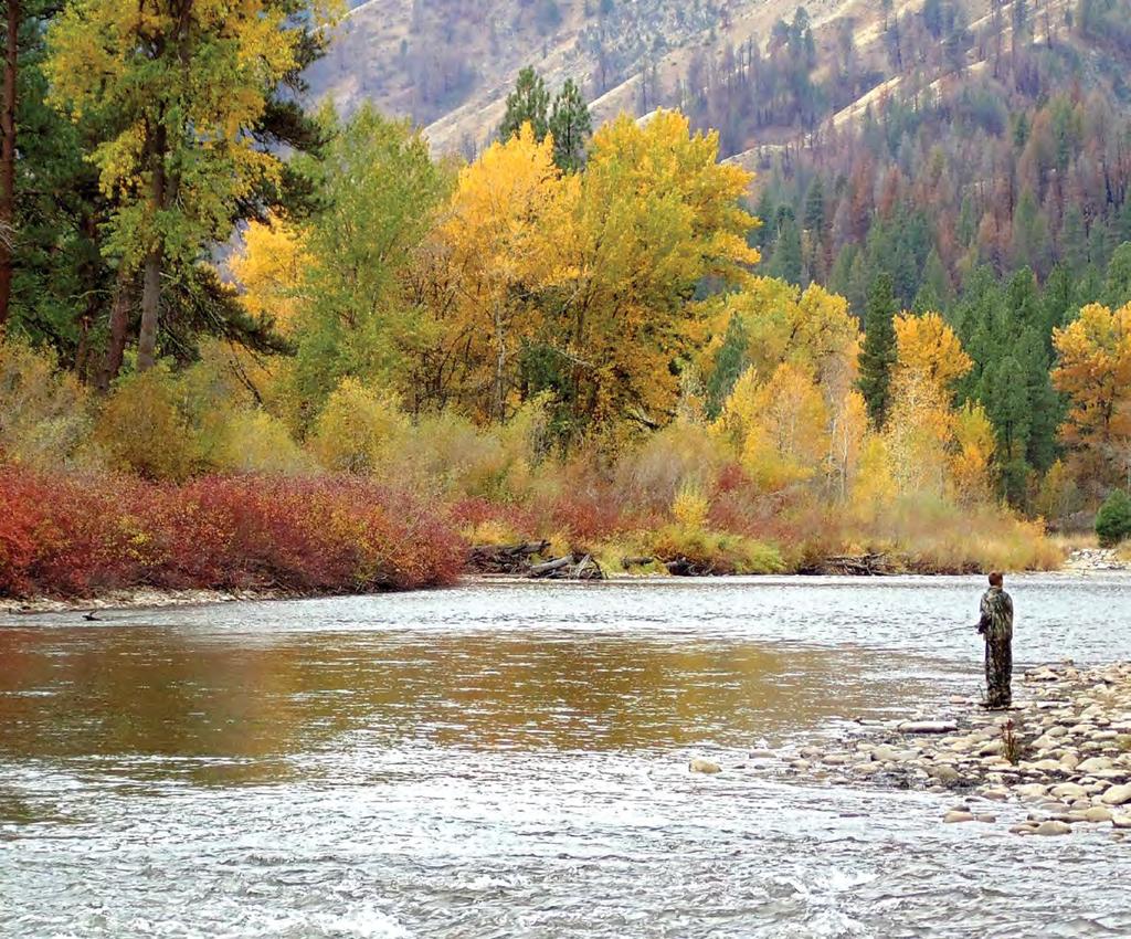 Idaho Fishing Seasons and Rules 2nd