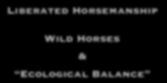 Liberated Horsemanship Wild Horses &