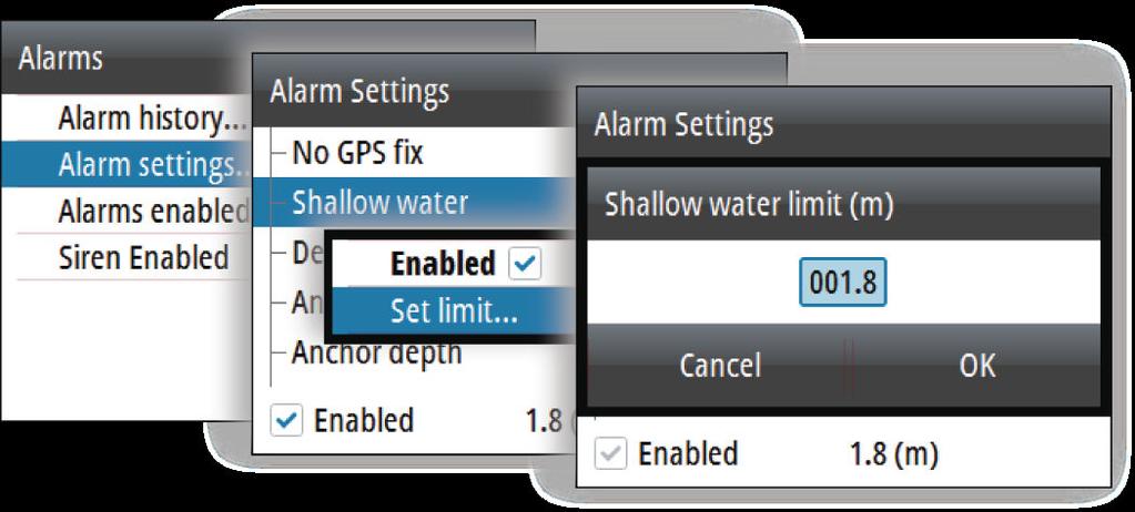 Enabling the alarm system and the alarm siren You enable the alarm system and the alarm siren from the Alarms menu.