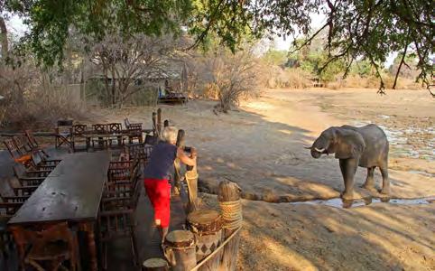 TRAVEL GLAMPING SAFARI 2*%'&/*)0)*.#&!-3)4&("&34&3*"01& Harare was merely a stopover before heading off to Mana Pools National Park, Hwange National Park and Victoria Falls.