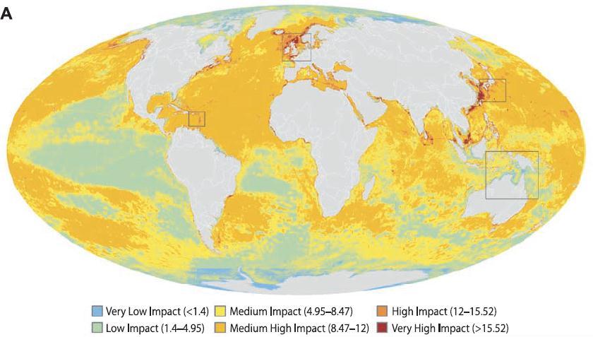 Marine ecosystems under pressure Threatened by Human Activities Land-based: coastal development agriculture