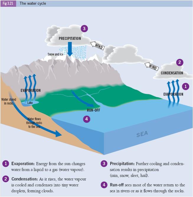 The Water Cycle Precipitation Types 1. Relief Rainfall A warm wind evaporates water from the sea and blows it to the land. The air is forced to rise when it reaches high ground. As it rises, it cools.