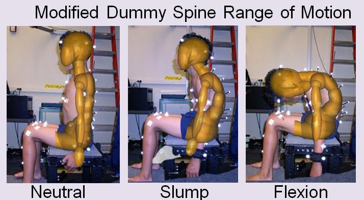 3 (ESTECO) was coupled with MADYMO to conduct the optimizations for neck tensile test, child volunteer crash test, pediatric cadaver test, and two MVCs separately in this study.