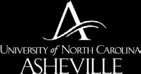 structure of the Institutional Review Board (IRB) at the University of North Carolina at Asheville (UNC Asheville) and the appointment process for IRB chair, vice chair, and members.
