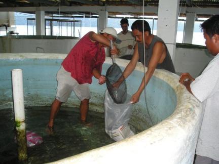 Assist aquaculture