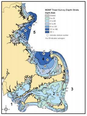 Figure 3: Location of the Massachusetts Trawl Survey. The survey is stratified based on five regions and six depth zones (0-30ft, 31-50ft, 61-90ft, 91-120ft, 121-180ft, >181ft out to 12 mile line).