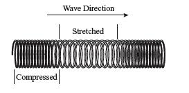 4. The figure below shows a spring with a wave traveling through it. Which type of wave is illustrated? A. sound B. transverse C. longitudinal D.