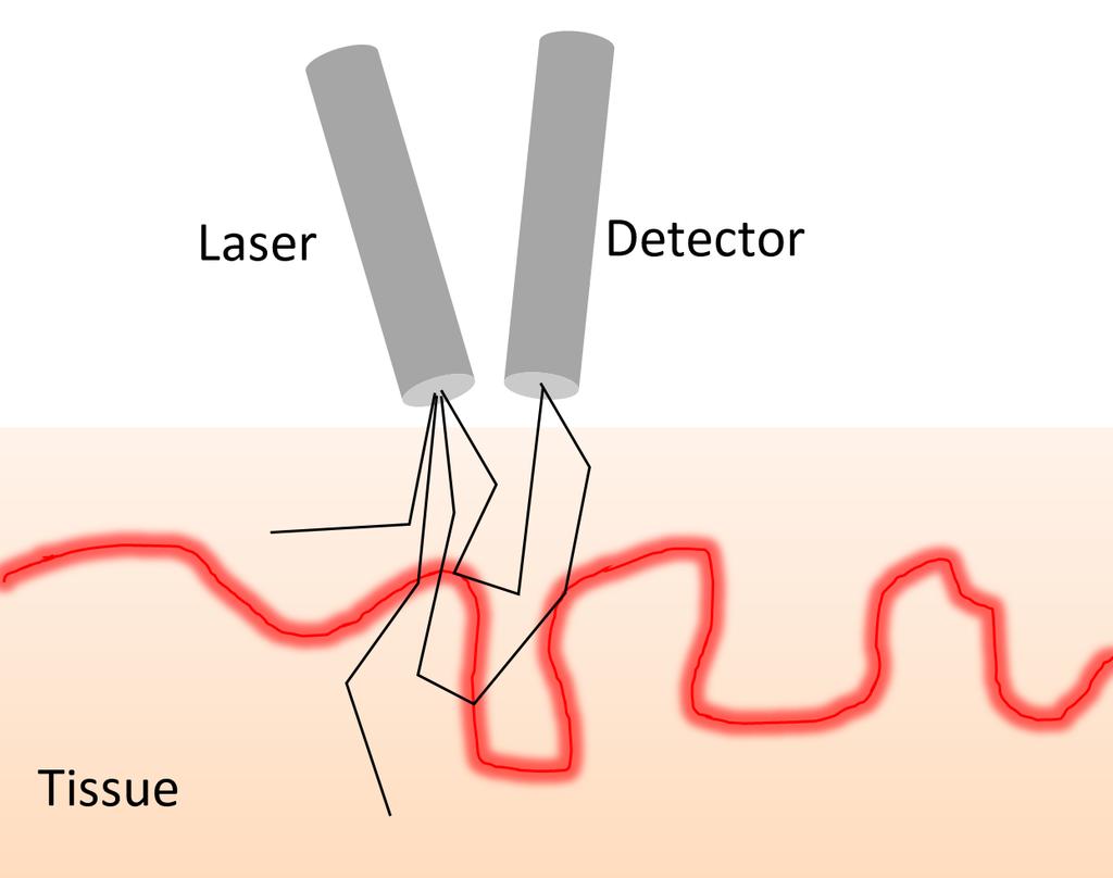 2.2 Laser Doppler Flowmetry 7 Figure 2.